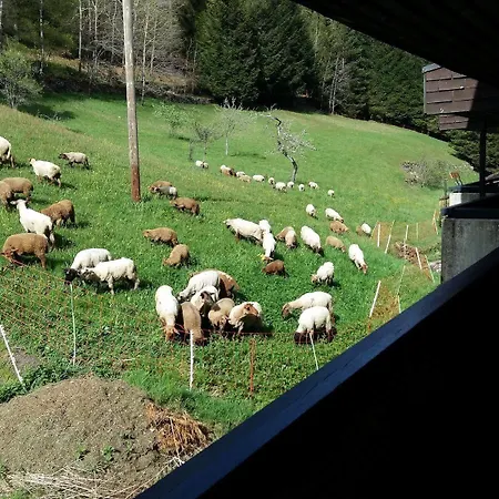 Apartamento Holiday Schwarzwald *