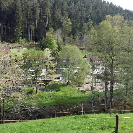 Apartamento Holiday Schwarzwald