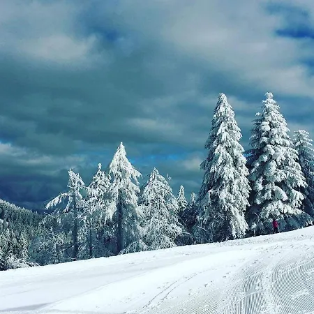 Apartamento Holiday Schwarzwald Enzklösterle
